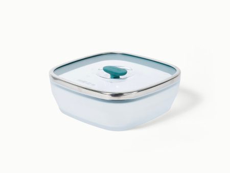 The Large Square Dish Online